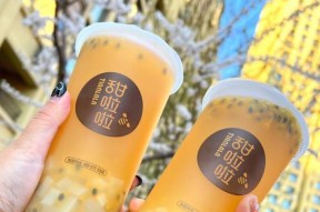 以弹弹跳跳闪避人酸酸甜甜，畅玩游戏世界！