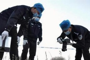 矮人要塞石头销毁攻略（游戏中的石头处理方法与技巧）