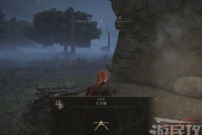 《艾尔登法环食粪者骨灰最快拿法》（游戏攻略大揭秘）