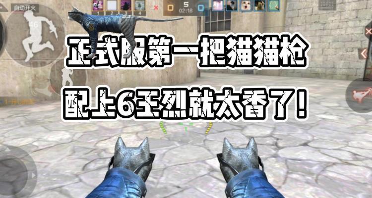 cf刷猫的方法是什么？刷猫有什么好处？  第1张